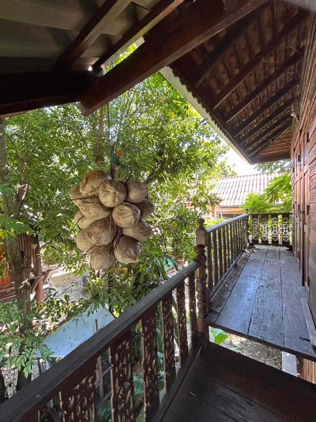 Homestay บ้านอากงโฮมสเตย์ เชียงใหม่ Baan Are Gong Chiang Mai *