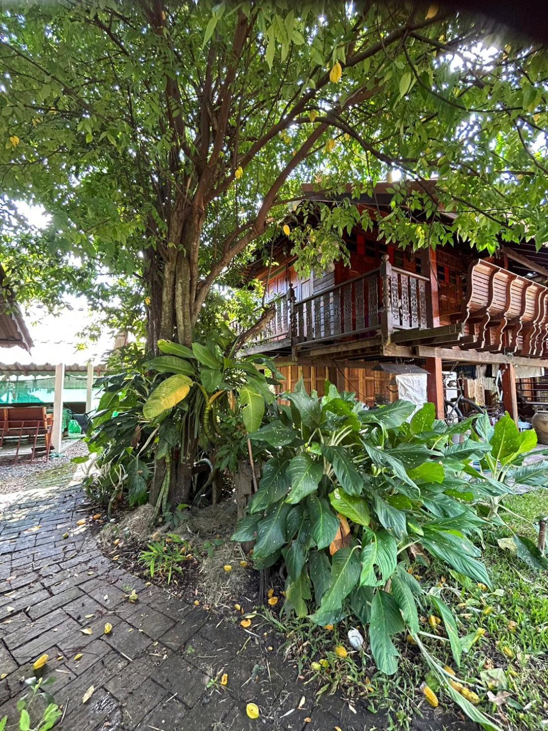 บ้านอากงโฮมสเตย์ เชียงใหม่ Baan Are Gong Chiang Mai * Mae Rim